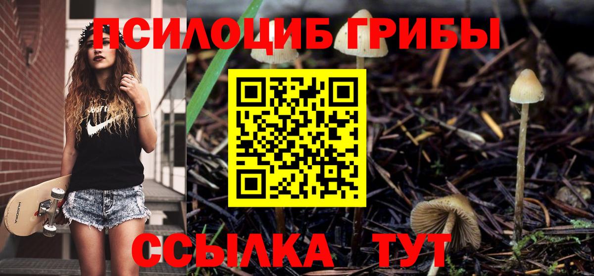 даркнет сайт  Галлюциногенные грибы Magic Shrooms  Вход с VPN  Каменск-Уральский 