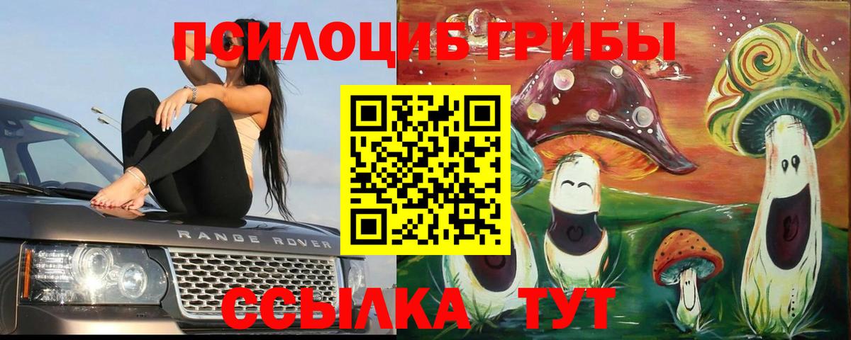 Псилоцибиновые грибы Magic Shrooms Каменск-Уральский